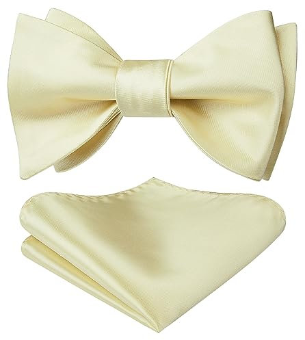 HISDERN Fliege Herren Champagner Fliegen mit Einstecktuch Set zum Selbstbinden Einfarbige Schleife Verstellbar Fliege und Taschentuch für Hochzeit