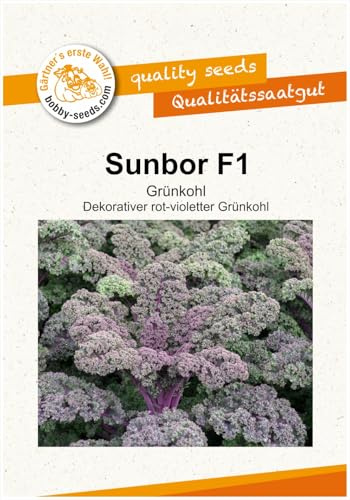 Grünkohl Sunbor F1 Kohlsamen von Bobby-Seeds