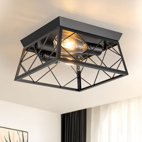 FTL Industrial Ceiling Lights, Square Black Ceiling Light Fittings, 2-Light Flush Mount Ceiling Lights Fixture, Metal Cage Living Room Ceiling Lighting, E27 Close to Ceiling Lamp for Bedroom, Kitchen