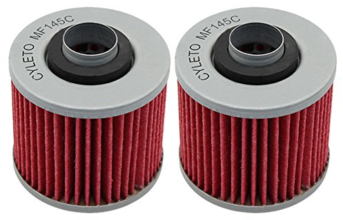 Cyleto Ölfilter für YAMAHA YFM 700 R YFM700R YFM700 R RAPTOR 700 2006 2007 2008 2009 2011 2012 2013 2014 2015 2016 (2 Stück)
