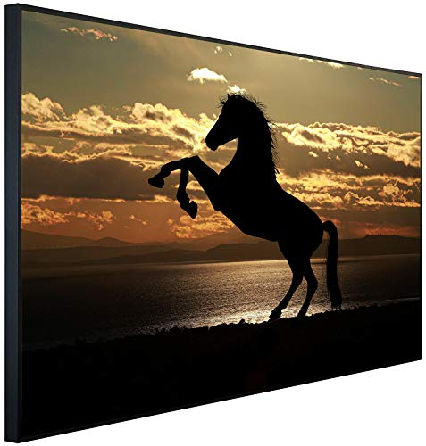 Ecowelle Infrarotheizung mit Bild | 900 Watt | 60x120 cm | Infrarot Heizung| | Made in Germany| b 106 Pferd