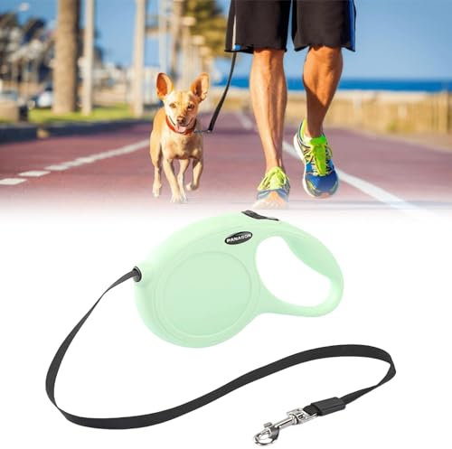 Laisse Chien Rétractable 5 Mètres avec Poignée, Enrouleur Extensible pour Chat et Chiot, Mousqueton, Longe Plate