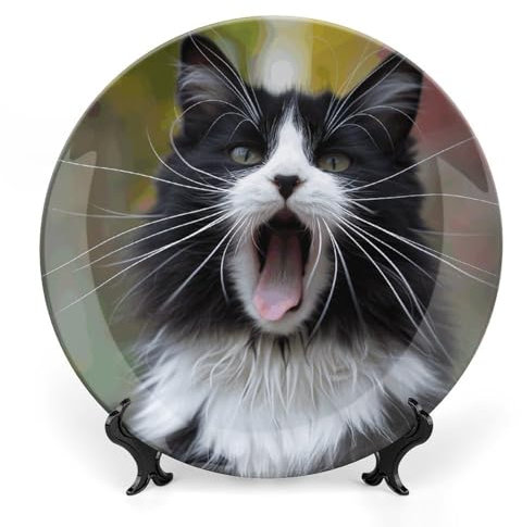 VFMNT Assiette décorative en porcelaine anglaise avec motif chat noir et blanc de 15,5 cm - Assiettes à dessert en céramique pour cuisine, salade, décoration de table