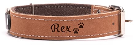 Petsen Personalisierte Hundehalsband mit Namen und Telefonnummer | Hundehalsband Leder | Hunde Halsbänder für Kleine und Große | Dog Collar | Farbe: Braun Große: L
