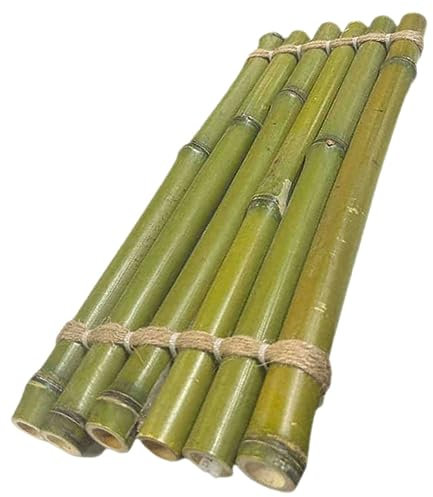 Cabilock Radeau Bambou pour Aquarium Décoration Forme De Radeau Planche Décorative Bambou Cascade