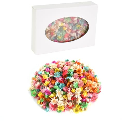200 Pièces Tête de Fleur Séchée, Petite Fleur d'Étoile, Petites Fleurs séchées Naturelles, Mini Marguerite, pour Décoration en Résine Époxy, Fabrication de Bougies, Artisanat Bricolage (B)