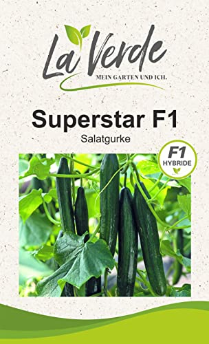 Superstar F1 Gurkensamen