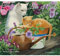 LANG Love Of Cats 2024 Wandkalender (24991001926)