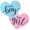 Gender Reveal Sticker,Team Boy or Girl,Team Boy und Team Girl Labels mit Goldfolie für Reveal Partys und Baby Showers（100er Set）