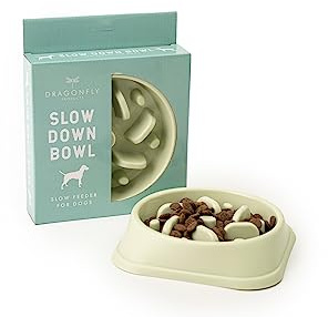 Dragonfly Products Slow Feeder Dog Bowl, Slows Fast Eating Maze Design | reduces bloating & choking risk, food-safe & easy to clean, suits dry, wet & raw food, mealtime enrichment, Green