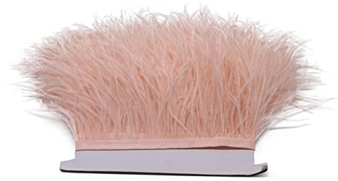 Straußenfedern, 8–11 cm, für Handarbeiten, Zubehör, Fransen, Band, Handtasche, Schuh, Kleid, Dekoration, Federn zum Basteln, Champagner, 10 Meter