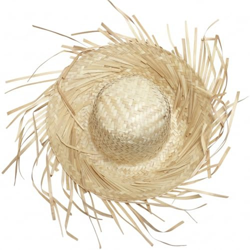 Sombrero de pava, Sombrero de Paja Tejido a Mano con ala con Flecos para Fiestas de Verano, de Disfraz Estilo Mexicano (Beige Blanco)