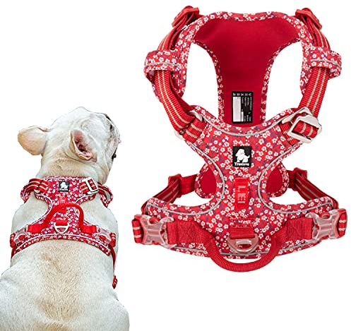 Tineer Blumenmuster No-Pull Hundegeschirr Reflektierendes Nylon Verstellbare Weiche, gepolsterte Weste Geschirre Training Einfacher Steuergriff für kleine mittelgroße Hunde (XL Brust: 81-107cm, Rot)