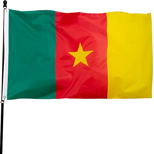 DANF Kamerun-Flagge, 90 x 150 cm, dickes Polyester, lichtbeständig, Messingösen, Leinwandkopf, Kamerunische Nationalflaggen mit 90 x 150 cm
