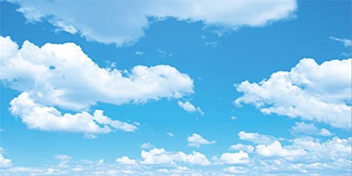 Renaiss 20x10ft Sky Photo Backdrop Blue Sky White Cloud Vinyl Background Birthday Party Decoration Kids Adults Portrait Photography Video Shoot Studio Props