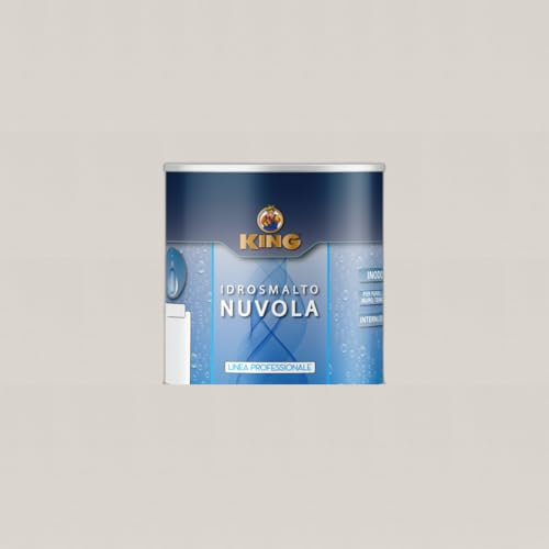 COLORIFICIO PARTENOPEO King NUVOLA, Smalto Acrilico all'acqua specifico per Termosifoni, finitura Brillante o Opaca e protezione dei Radiatori ad acqua (K127 TERMO OPACO, 100ml)