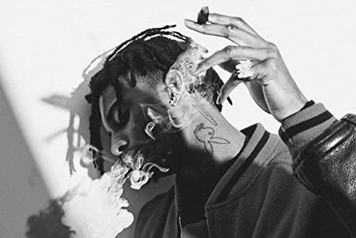 Blue Throat Trident Collection Playboi Carti Hip Hop – Falle – Cloud Rap Poster 30,5 x 45,7 cm