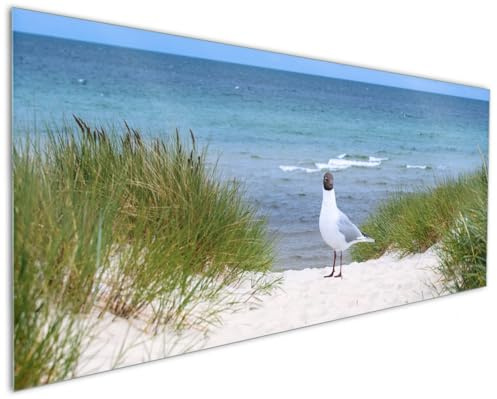 Wallario Küchenrückwand aus Glas 125 x 50 cm, Motiv: Möwe auf der Düne | Spritzschutz abwischbar & pflegeleicht