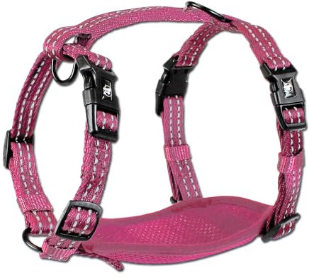 Alcott Adventure Harnais avec Coutures réfléchissantes et Rembourrage en Maille Rose Taille M