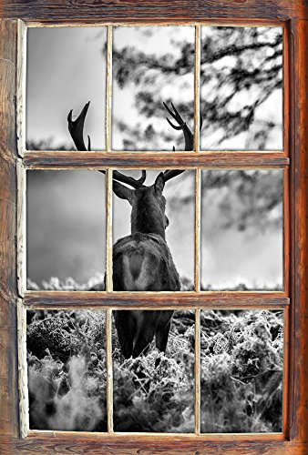 Stil.Zeit Monocrome, Hirsch Rivalen kämpfen Fenster im 3D-Look, Wand- oder Türaufkleber Format: 62x42cm, Wandsticker, Wandtattoo, Wanddekoration