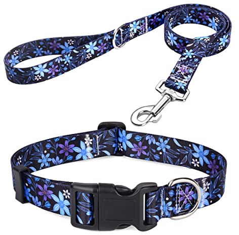 Mihqy Hundehalsband und Leine Set, Verstellbares, Weich & Komfort Nylon Hunde Halsband für Kleine Mittlere Große Hunde Welpen Katzen(Blumen Blau Set,L)
