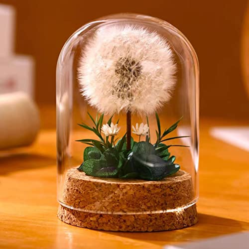 DESHINTKE Löwenzahn-Exemplar, Briefbeschwerer, ewige Blume