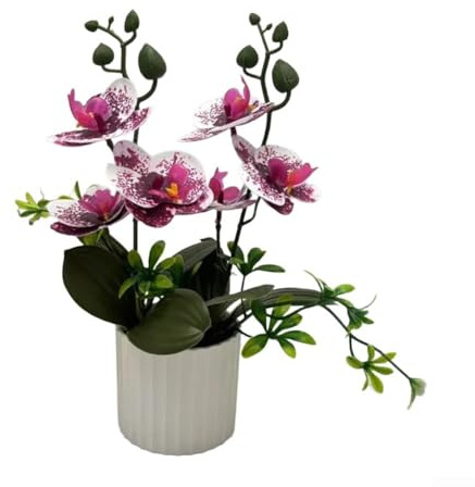 Eleganter Phalaenopsis Indoor Bonsai, Realistische Simulation Orchidee für stilvolle Heim- und Arbeitsplatzdekoration (lila und weiß)