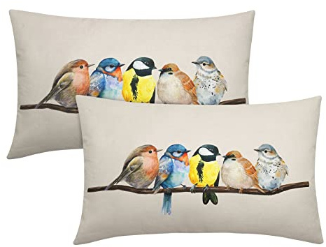 aportt Oil Painted Bird Lumbar Pillow Covers 12X20 Inch Rustic Birds Tree Branches Rectangular Cases Wildlife Spring Summer Oblong Throw Pillows Set of 2 Home Decor For Room Couch Bed Sofa Outdoor