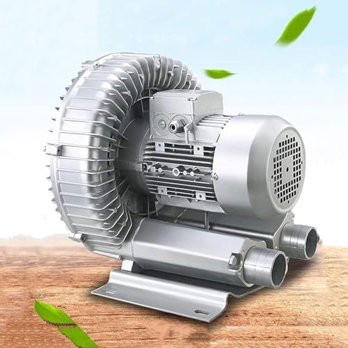 LQQYJSM Regeneratives Gebläse Seitenkanalverdichter, 120W-1500W Einphasige Gasringverdichter, Radialventilator Gasringturbine, Für Abwasserbelüftung Aquarium Fischteich,250W-110V