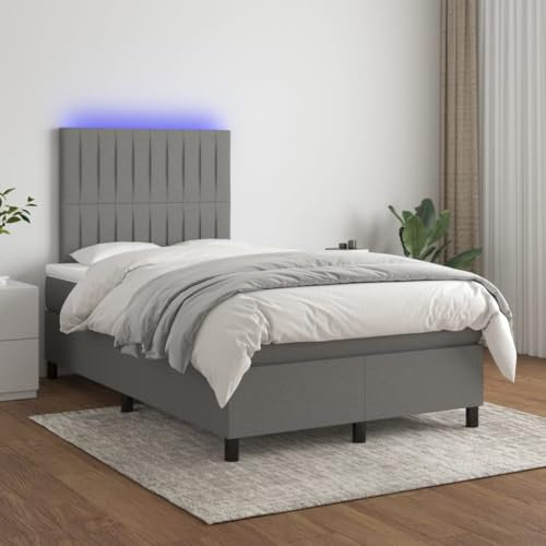 Generisch Boxspringbett mit Matratze & LED Dunkelgrau 120x200 cm Stoff,jiangboyue-3135022