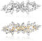 Strass Haarspange 2 Stück, Vintage Elegante Haarspange, Haarschmuck Hochzeit Braut Haarspange, Glitze Kristall Haarspange, Glitzernde Mode Dekorative Kopfbedeckung für Damen Mädchen, Silber und Golden