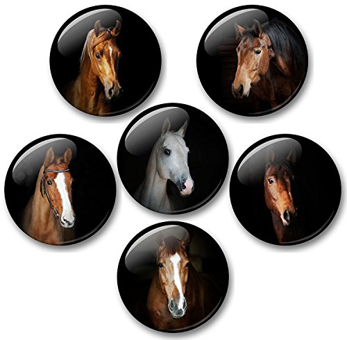 Pferde Schimmel Rappe Fohlen - 6 große Kühlschrankmagnete für Memoboard Pinnwand Magnettafel Whiteboard [ 11 ]
