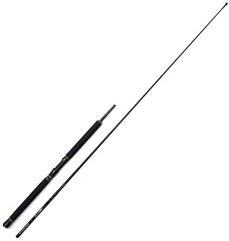 Savage Gear Big Lure Inline 2,20m 12-25lbs - Schlepprute zum Schleppangeln auf Hechte, Angelrute zum Hechtangeln, Hechtrute