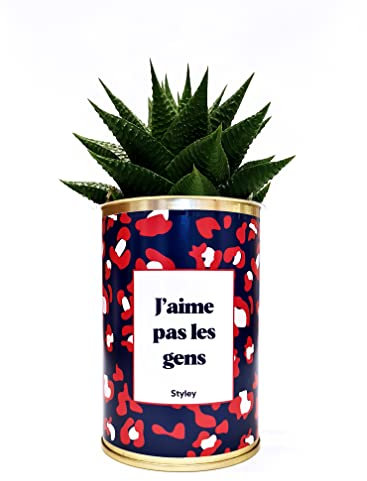 Styley - J'aime pas les gens - Plante grasse et cactus en pot - plante d'interieur - Limifolia - Idéal Cadeau de Noël