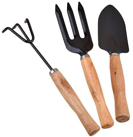 V&AMYA Set 3 Pezzi Utensili da Giardino - Attrezzi per Giardino - Set Giardinaggio 3 Accessori - 2 Rastrelli e 1 Paletta
