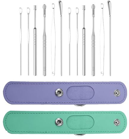 PMELCXD Ohrenreiniger, Premium Ohrreiniger Set aus Edelstahl, 12 PCS Ohrenschmalz Entferner, mit Schlüsselclip - Effektive Ohrenschmalzentfernung für Kinder, Jugendliche und Erwachsene