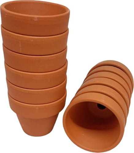ferrarium Lot de 12 pots de culture, en terre cuite, diamètre : 5 cm, matériau naturel, convient pour semis, culture, bricolage