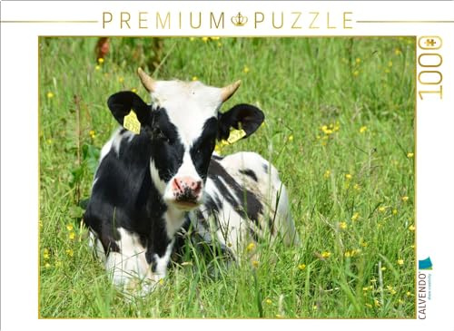 CALVENDO Puzzle Nachwuchs in der Rinderherde | 1000 Teile Lege-Größe 64 x 48 cm Foto-Puzzle für glückliche Stunden
