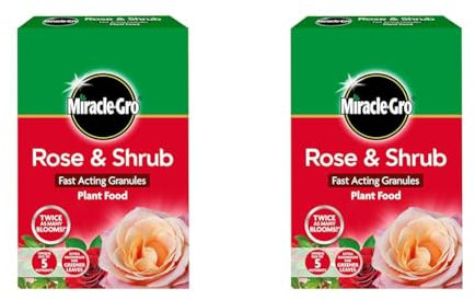 Miracle-Gro Rose and Shrub Fast Acting Granules Plant Food, 3 kg (Pack of 2)