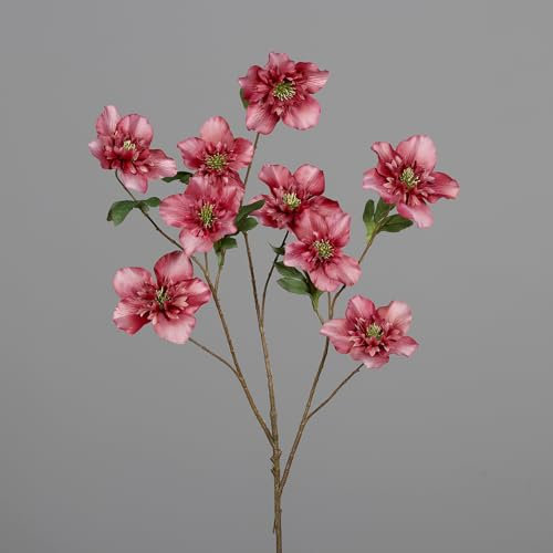 Seidenblumen Roß Großer Christrosenzweig 95cm DP Kunstblumen künstliche Christrose Helleborus Schneerose Blumen Pflanzen (Rosa-Pink)
