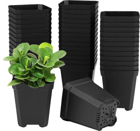WhizNook 100 Pièces Pot de Pépinière 5cm, Godet Semis Carrés en Plastique, Petits Pot pour Semis avec des Trous dans Le Fond, pour Diverses Plantes, Fleurs, Semis, Boutures, Greffes (Noir)