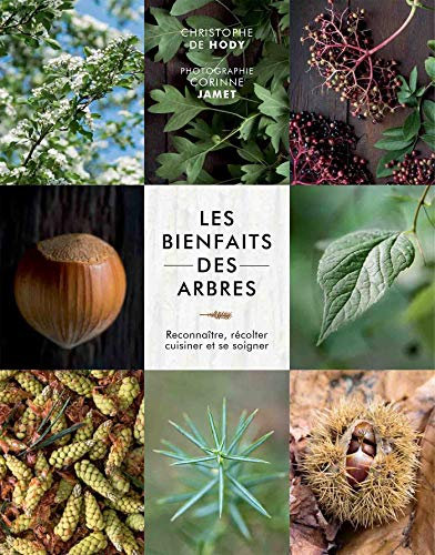 Les bienfaits des arbres: Reconnaître, récolter, cuisiner et se soigner