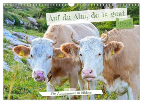 Bergstille – Momente auf der Alm (Wandkalender 2026 DIN A3 quer), CALVENDO Monatskalender: Der Alpsommer ist eine besondere Zeit im Jahreslauf - ein ... hoch oben in den Bergen. (CALVENDO Natur)