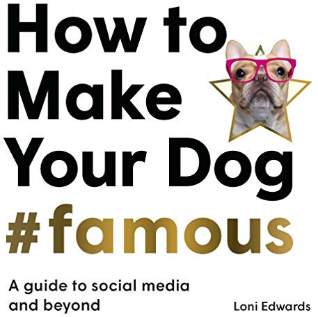 How To Make Your Dog #Famous: A Guide to Social Media and Beyond