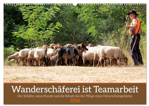 Wanderschäferei ist Teamarbeit (Wandkalender 2026 DIN A2 quer), CALVENDO Monatskalender: In der Pflege von Naturschutzgebieten werden gerne Schafe eingesetzt. (CALVENDO Tiere)