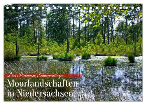 Niedersachsens Moorlandschaften - Das Pietzmoor, Schneverdingen (Tischkalender 2026 DIN A5 quer), CALVENDO Monatskalender: Erleben Sie die ... Pietzmoor, Schneverdingen. (CALVENDO Natur)
