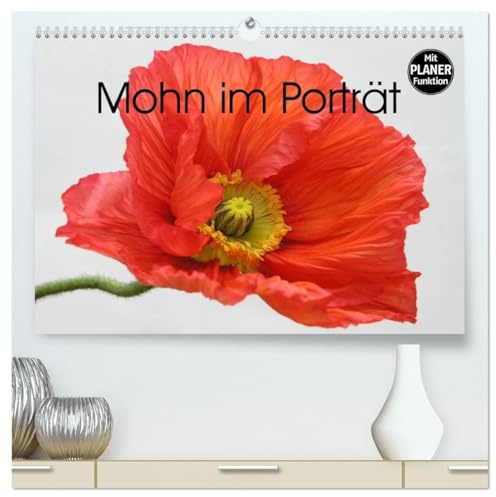 Mohn im Porträt (hochwertiger Premium Wandkalender 2026 DIN A2 quer), Kunstdruck in Hochglanz: 1 Jahr lang Mohnblüten-Genuss (CALVENDO Natur)