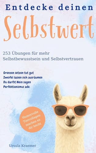 Entdecke deinen Selbstwert: 253 Übungen für mehr Selbstbewusstsein und Selbstvertrauen Grenzen setzen tut gut Zweifel lassen sich ausräumen Du darfst Nein sagen Perfektionimus ade