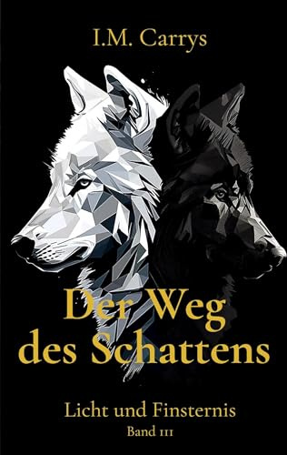 Der Weg des Schattens: Licht und Finsternis Band 3