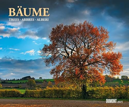 Bäume, Fotokunst-Kalender 2015: Trees; Arbres; Alberi